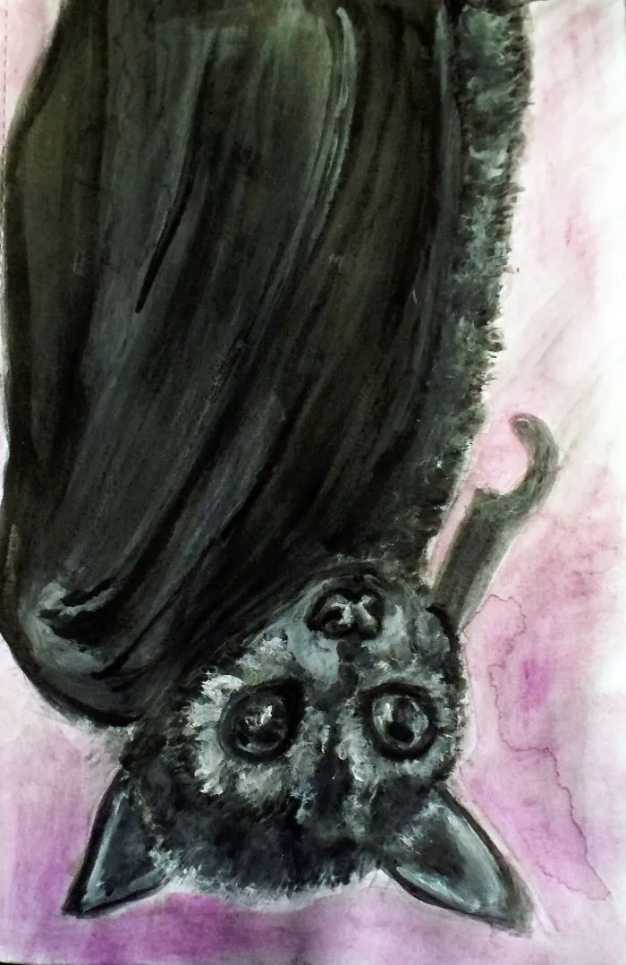 Watercolour Painting Of A Fruit Bat