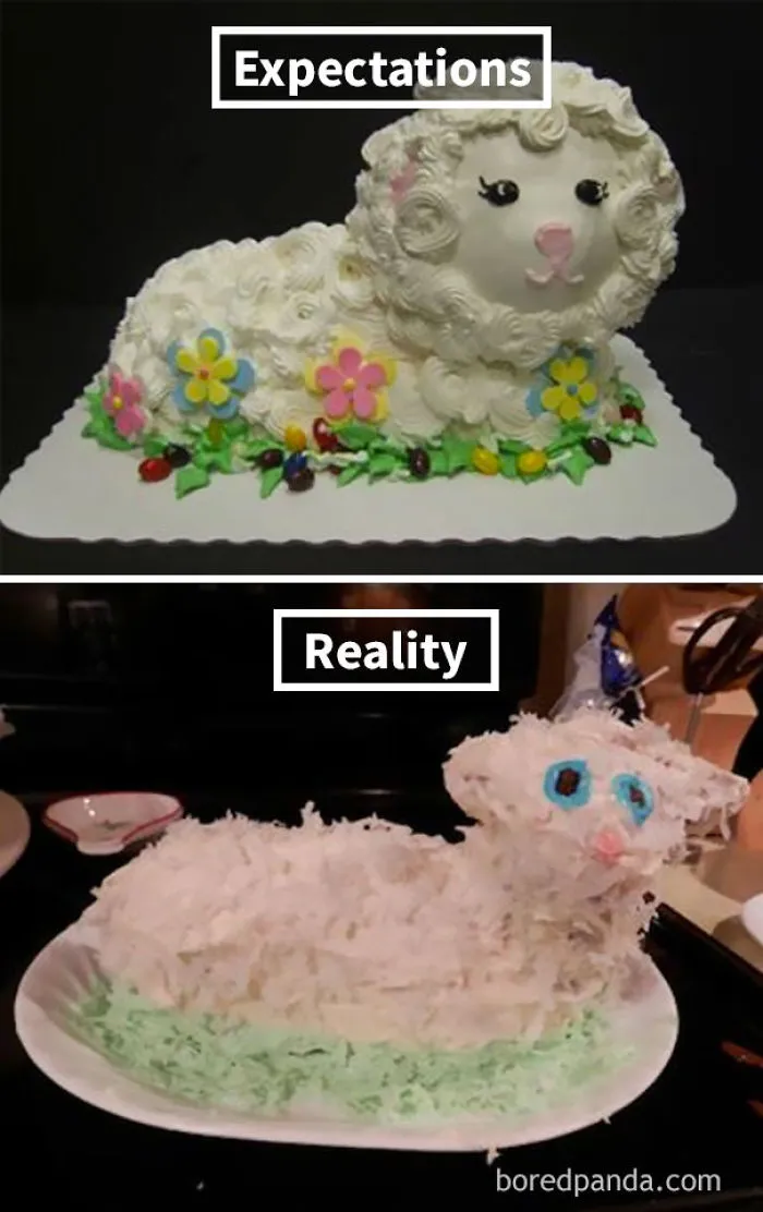 Expectations vs. Reality