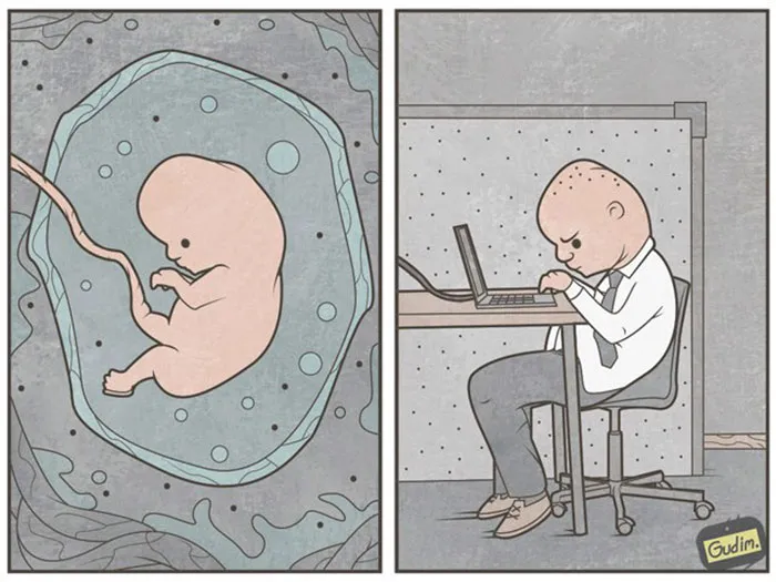 101 Sarcastic Comics That You’ll Need To See Twice To Understand
