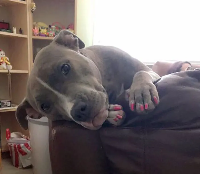 Vicious