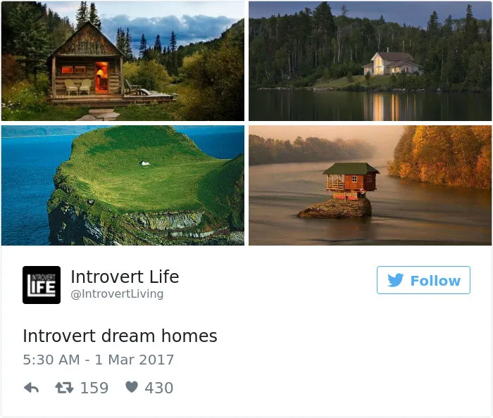 151 Hilarious Introvert Tweets That Are Worth Cancelling Your Plans For