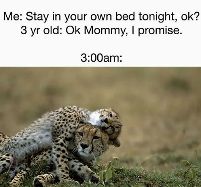 Involuntary Co-Sleeping