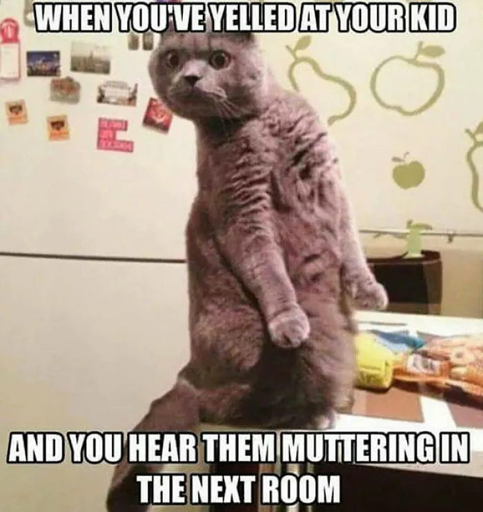 Parenting Memes