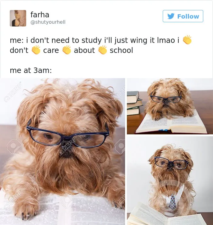136 Hilarious Posts About College That Will Make You Laugh, Then Cry