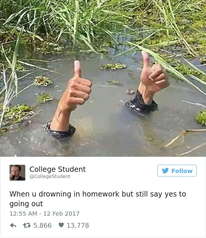 136 Hilarious Posts About College That Will Make You Laugh, Then Cry