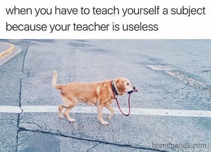 136 Hilarious Posts About College That Will Make You Laugh, Then Cry