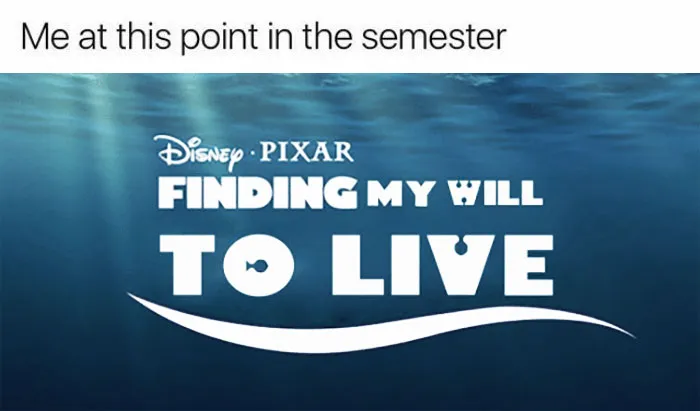 136 Hilarious Posts About College That Will Make You Laugh, Then Cry