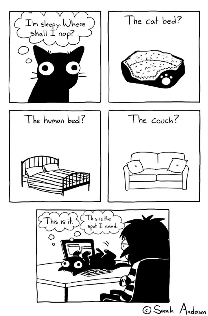 125 Hilariously Honest Comics By Introvert Artist Sarah Scribbles