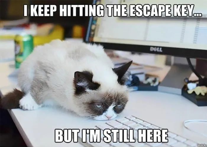 Grumpy cat meme about work, lying on a keyboard in front of a computer screen with text about hitting the escape key.