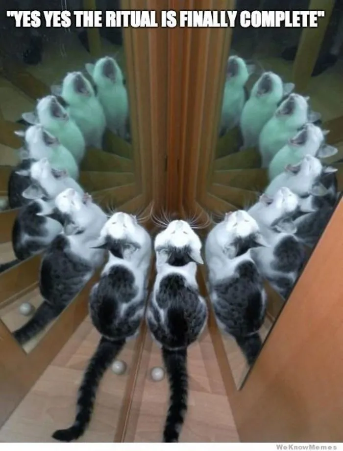 #170 The Ritual Is Complete?