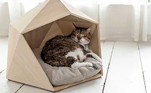 Geometric Pet Beds To Please Your Master's Sophisticated Taste