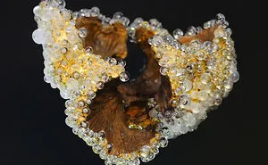 Sculpture Like Gem Inspired By Nature