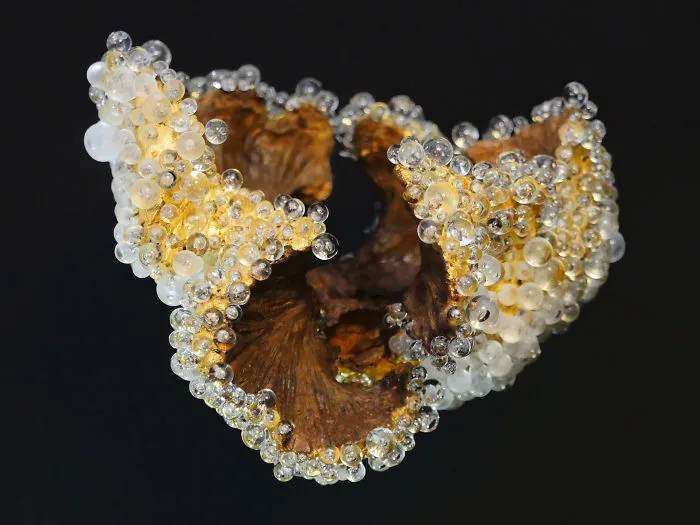 Sculpture Like Gem Inspired By Nature