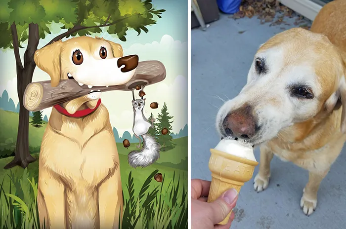Molly Leaves Sticks In Neighbours' Yards, Because Sharing