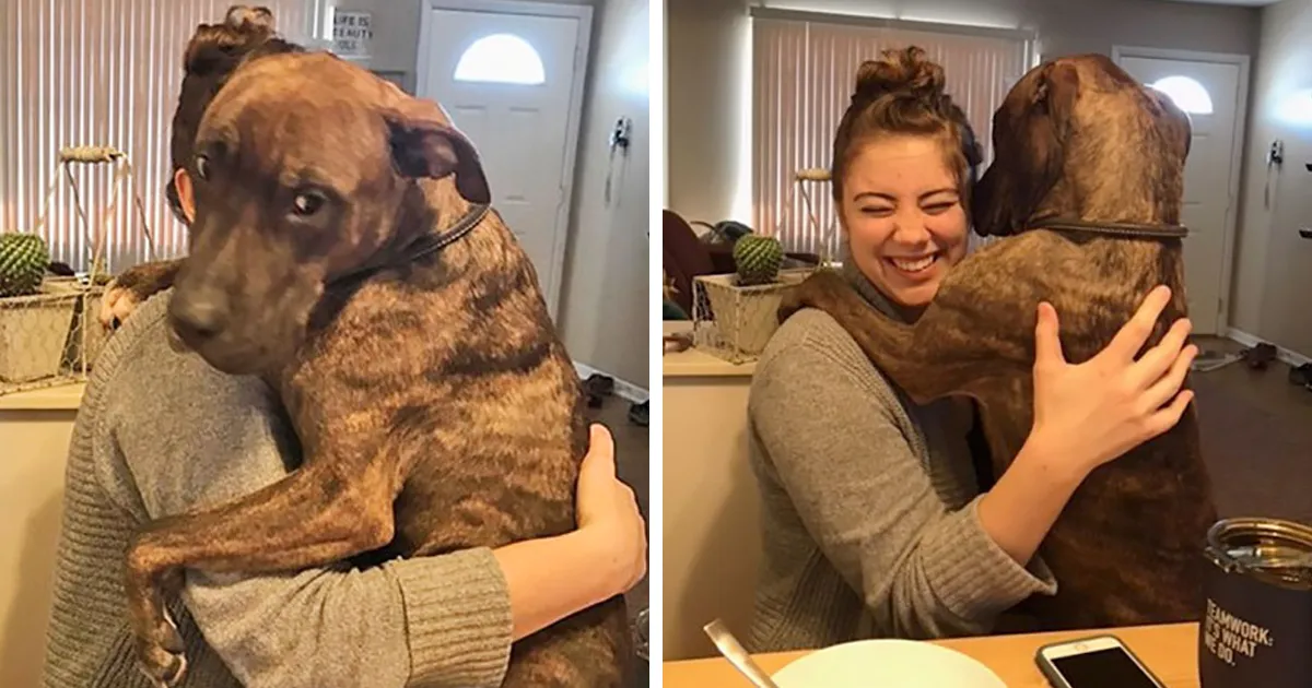 Este perro rescatado hace 1 año abraza cada día a su dueña cuando vuelve a casa