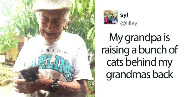 Grandpa Secretly Raises Stray Kittens After Wife Told He Couldn't Keep Them