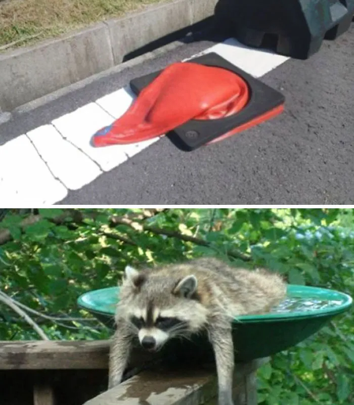 You Know It's Hot