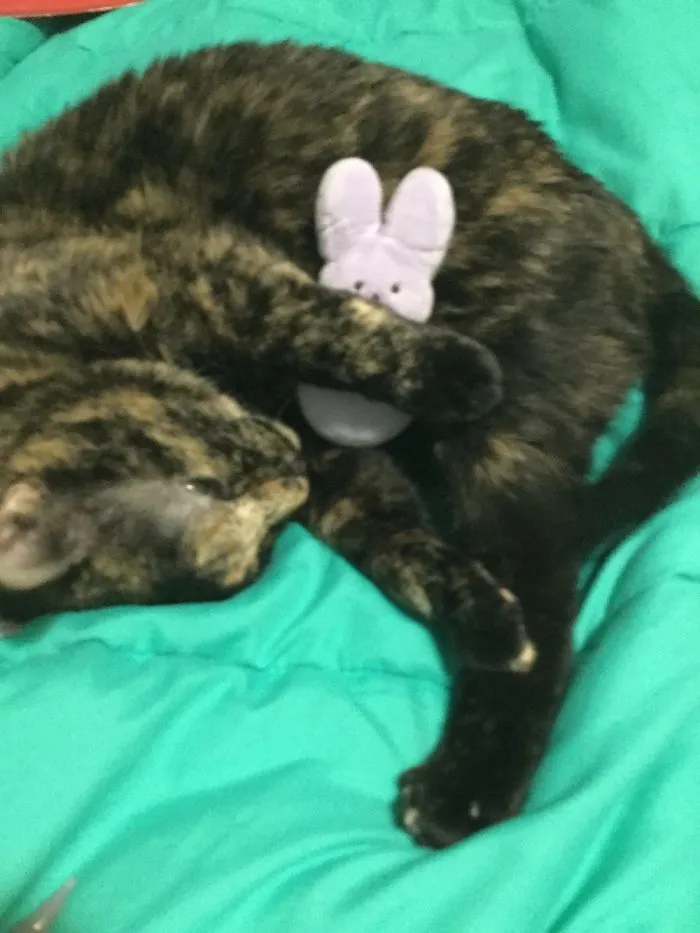 Snuggled Up