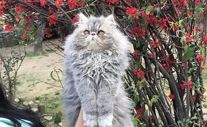 Spring Is In The Air..!