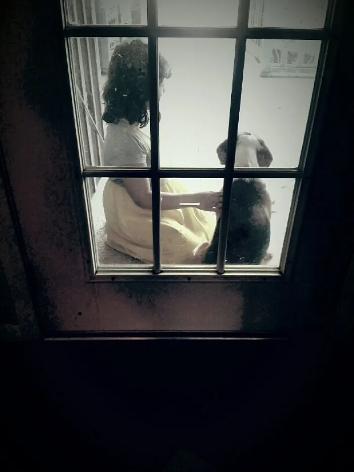 My Daughter And A Stray
