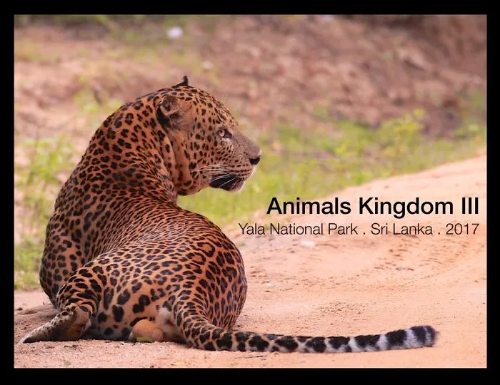 Animal Kingdom