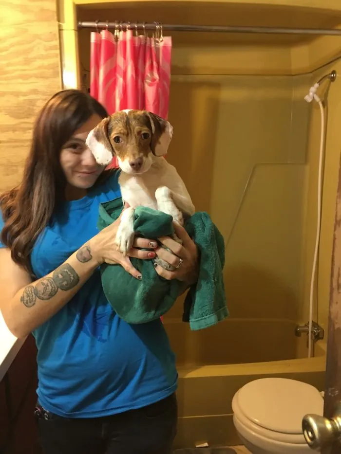 Chicka's First Bath