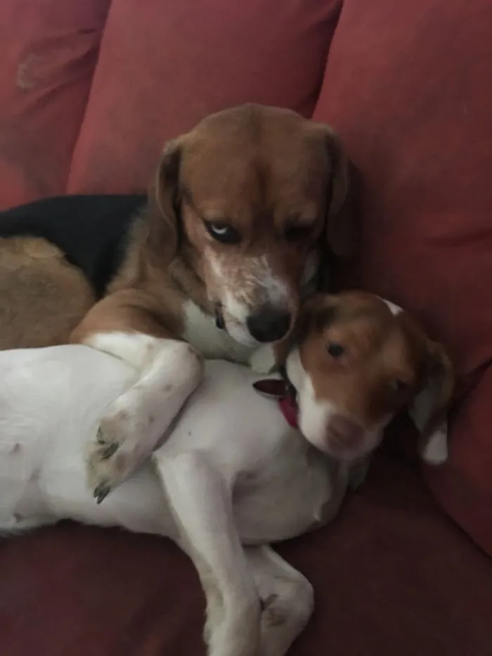 My Sweet Babies!
