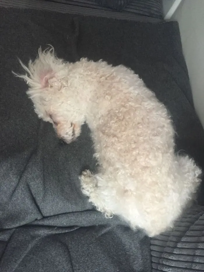 Melted