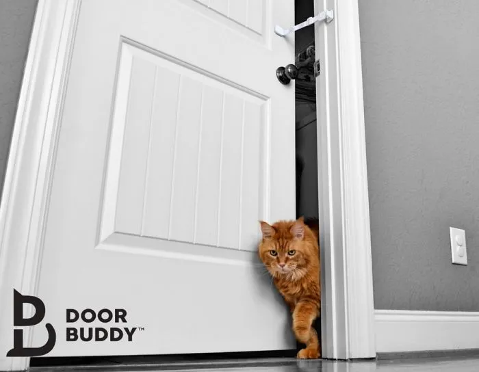 Door Buddy®