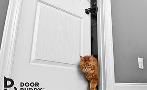 Door Buddy®