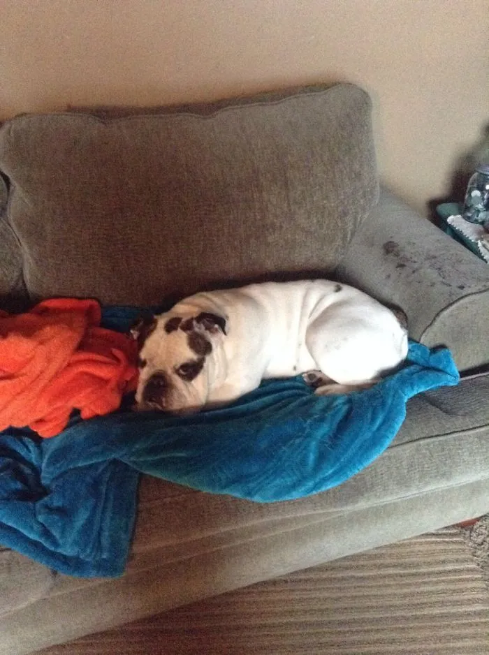 Melted And Mad