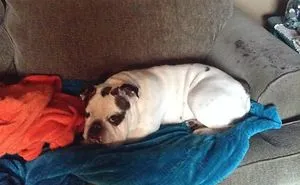 154 Animals That Just Melted (Our Hearts)
