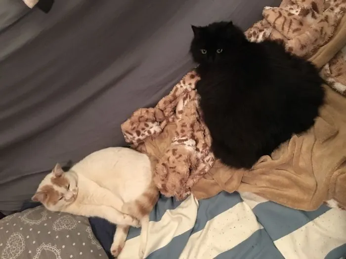 Melting Together