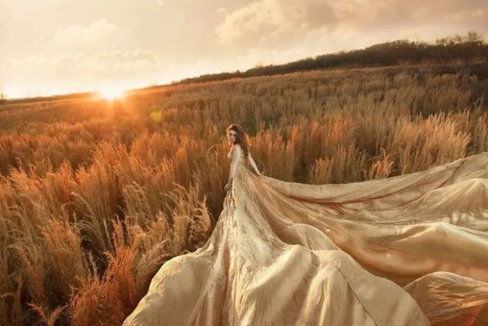 Field Of Dreams