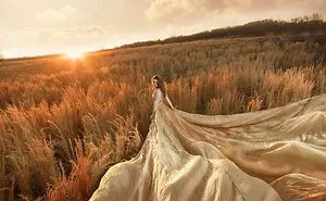 Field Of Dreams