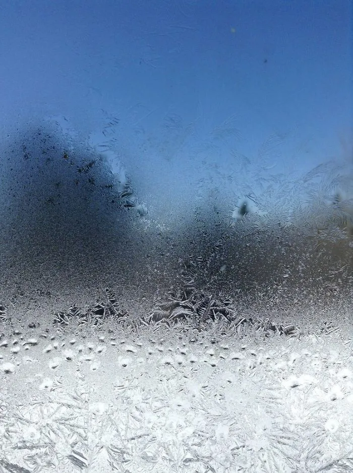 Frosty Day