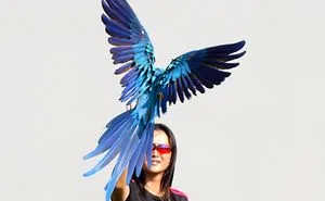 Teddy The Blue And Gold Macaw