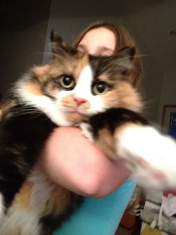 You Can See Her Regret