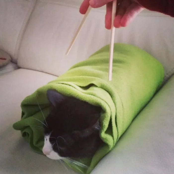 Sushi Kit(ty)