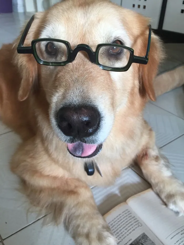 May  I Help You Darling???