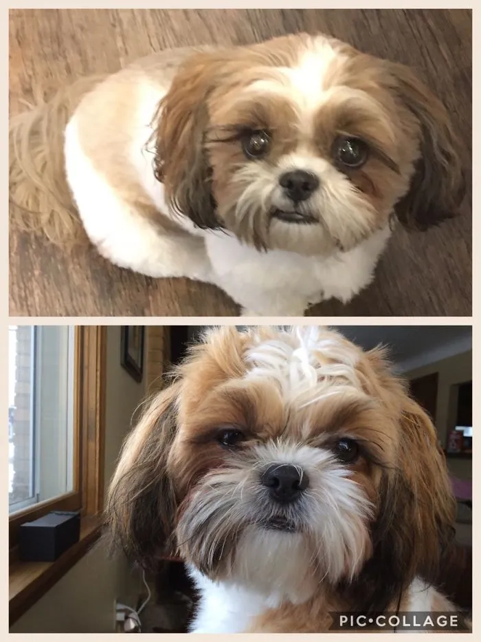After Then Before