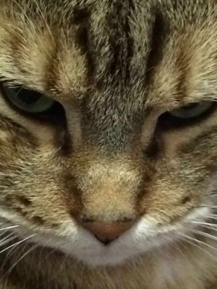 I'm Gonna Kill U