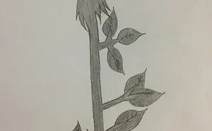 I Drew This Xd