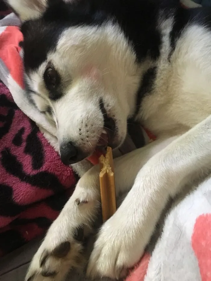 Sapphire Loves Snacks