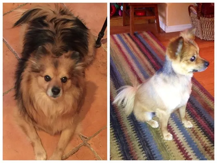 Buddy Before & After, Tbh I Like Before Better