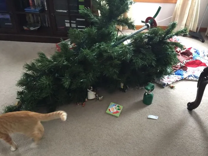 Hamilton Destroys Christmas