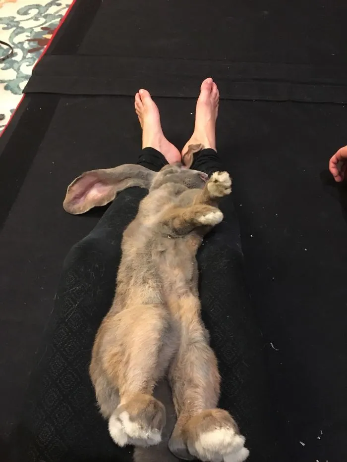 This Girl Could Care Less Where She Naps