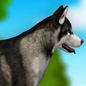 ❤❤❤❤❤DOGS