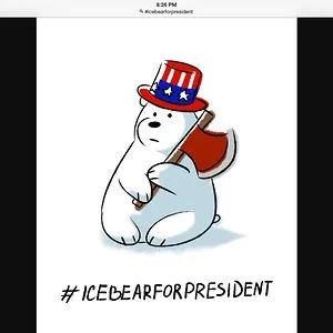 Ice Bear
