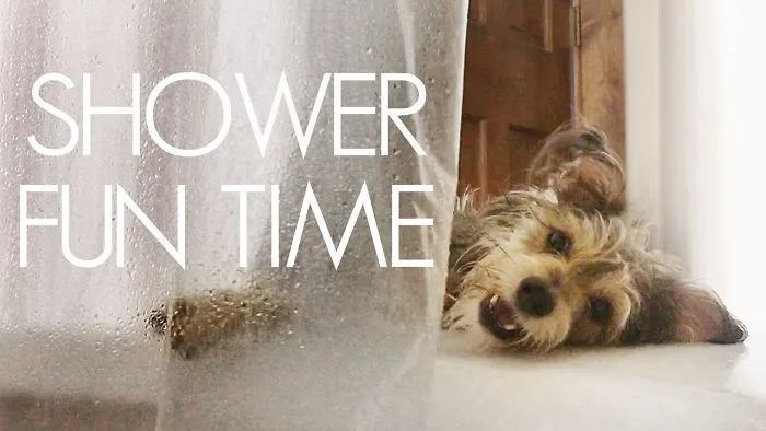Showering Takes Forever, See The Hilarious Reason Why!